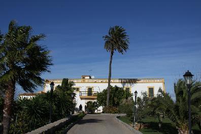 Son Manera Hotel Rural Montuiri  Exterior photo